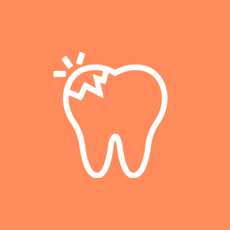 Restauram a função e morfologia do dente perdido devido a cáries ou traumas.